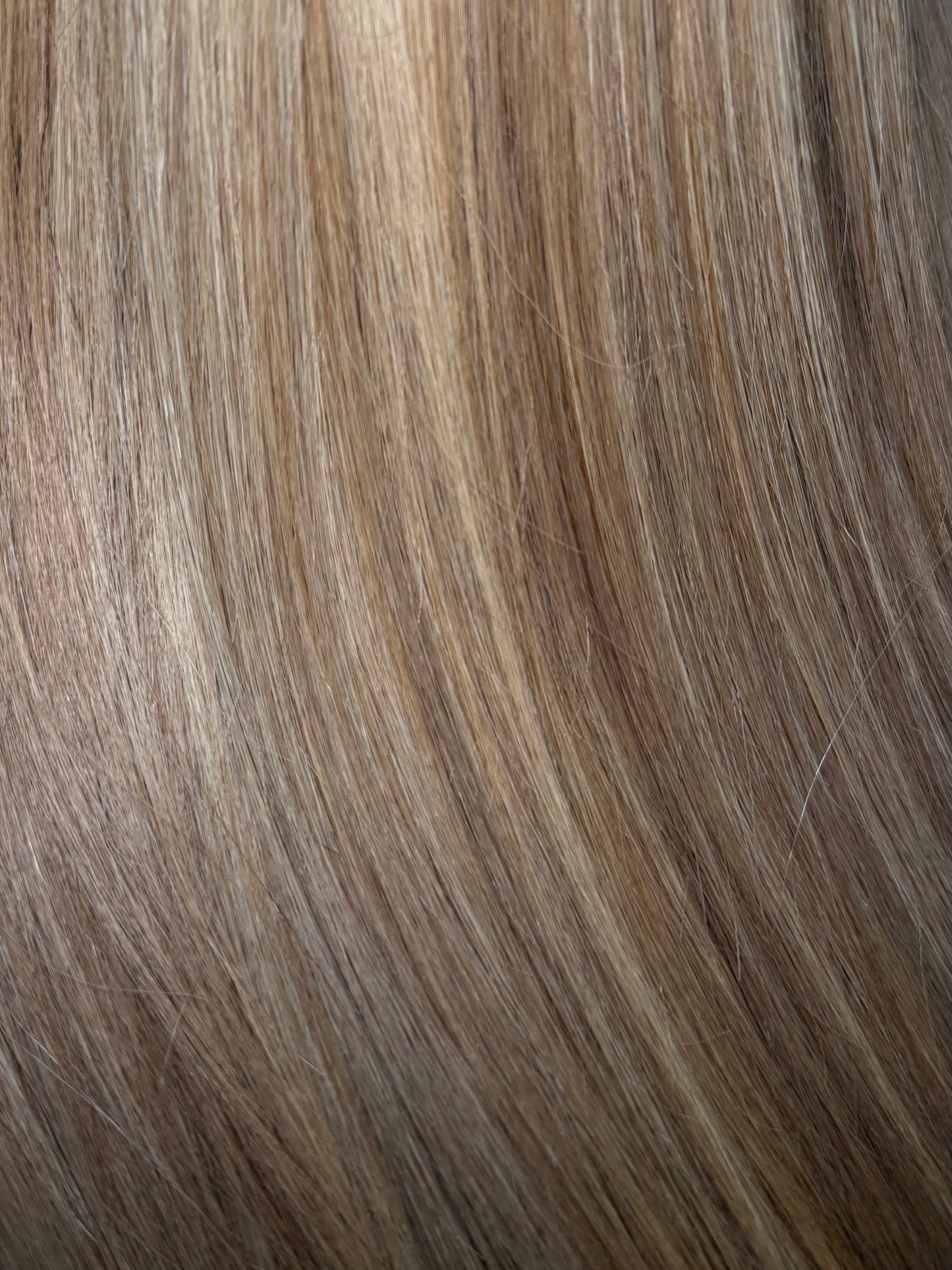 Luxe Veil Bundles